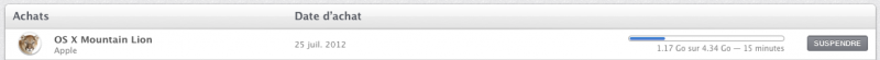 AchatMountainLion